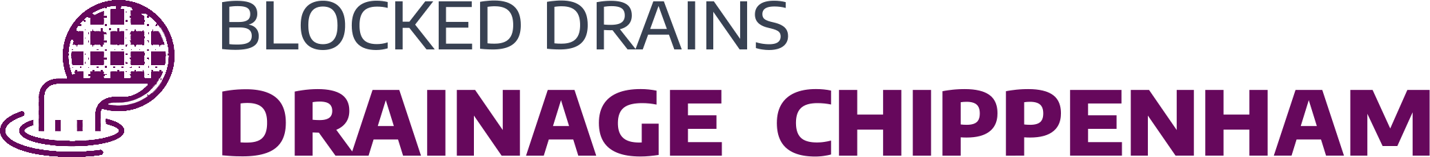 website logo